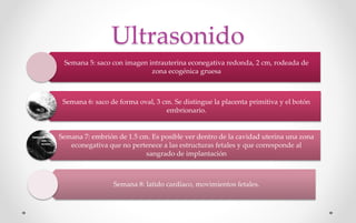Ultrasonido
Semana 5: saco con imagen intrauterina econegativa redonda, 2 cm, rodeada de
zona ecogénica gruesa
Semana 6: saco de forma oval, 3 cm. Se distingue la placenta primitiva y el botón
embrionario.
Semana 7: embrión de 1.5 cm. Es posible ver dentro de la cavidad uterina una zona
econegativa que no pertenece a las estructuras fetales y que corresponde al
sangrado de implantación
Semana 8: latido cardíaco, movimientos fetales.
 