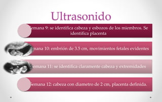 Ultrasonido
Semana 9: se identifica cabeza y esbozos de los miembros. Se
identifica placenta
Semana 10: embrión de 3.5 cm, movimientos fetales evidentes
Semana 11: se identifica claramente cabeza y extremidades
Semana 12: cabeza con diametro de 2 cm, placenta definida.
 