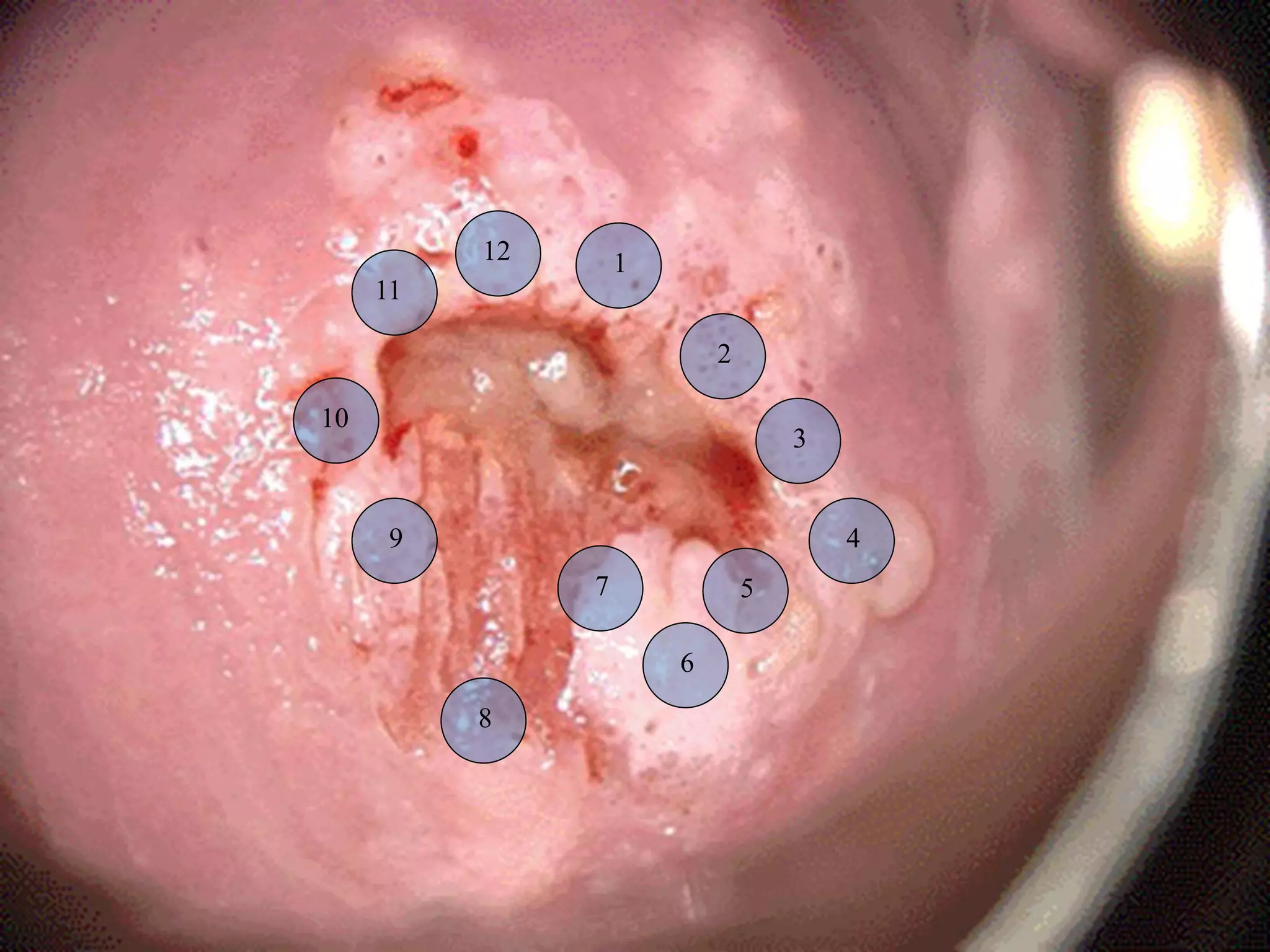 1
2
3
4
5
6
7
8
9
10
11
12
 