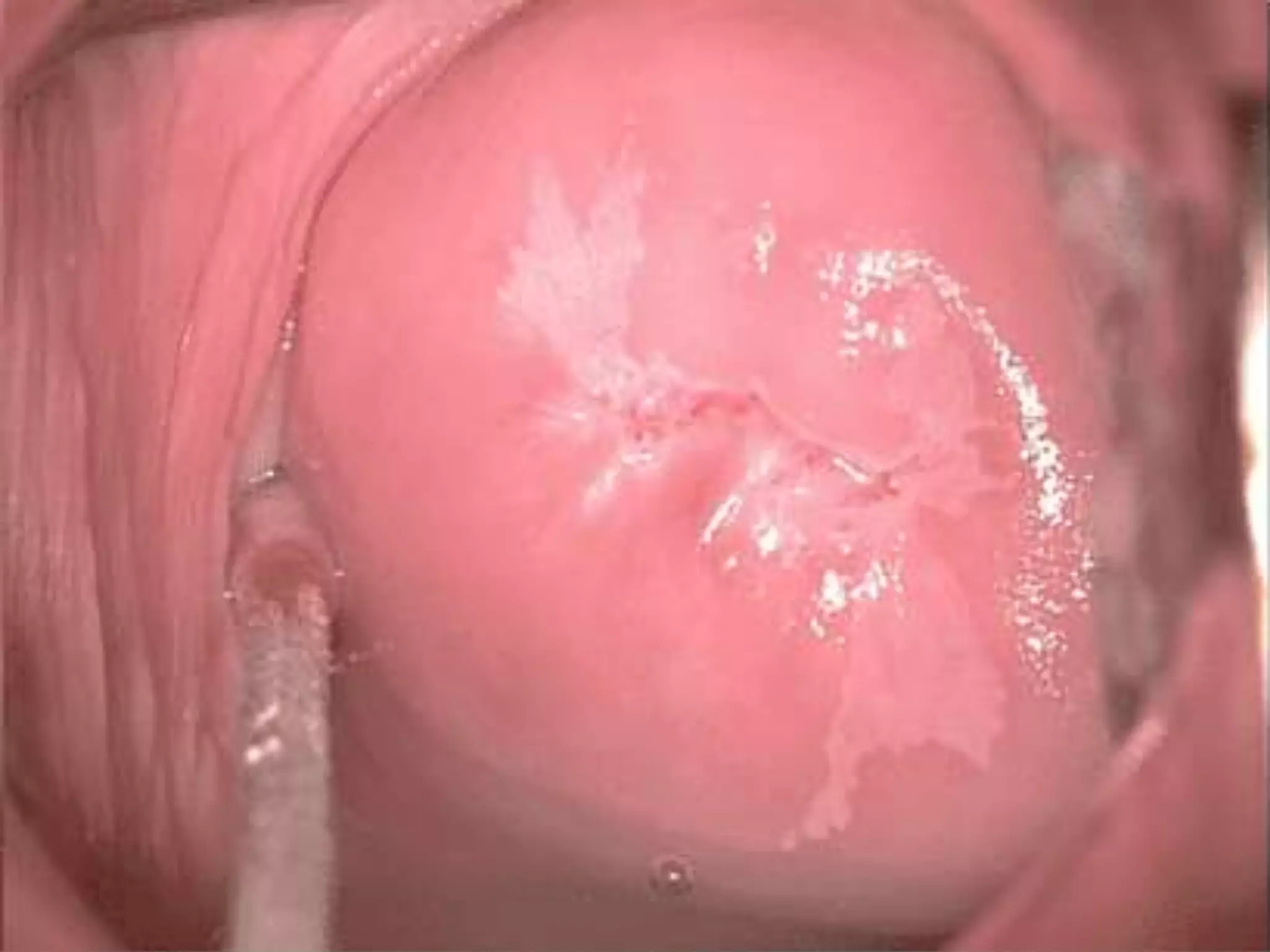 43 March 2010
Commercial in
Confidence
43September 2009 Commercial in Confidence 43July 2009 Commercial in ConfidenceOctober 2008 Commercial in Confidence 43
February 17 Commercial in confidence 43
 