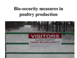 Bio-security measures in
poultry production
 