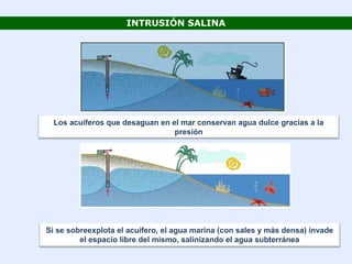 INTRUSIÓN SALINA
Los acuíferos que desaguan en el mar conservan agua dulce gracias a la
presión
Si se sobreexplota el acuífero, el agua marina (con sales y más densa) invade
el espacio libre del mismo, salinizando el agua subterránea
 