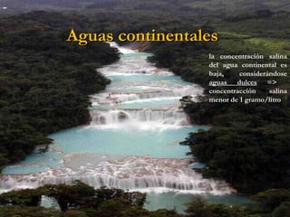 Aguas continentalesAguas continentales
la concentración salina
del agua continental es
baja, considerándose
aguas dulces =>
concentracción salina
menor de 1 gramo/litro
 