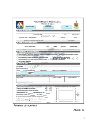 3
Formato de apertura.
Anexo 13
 