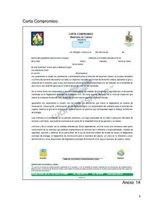 6
Carta Compromiso.
Anexo 14
 