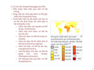 5
1.2.2 Các hội chứng thường gặp của STDs
‒ STDs được biểu hiện qua một số hội
chứng.
‒ Cùng một tác nhân gây bệnh có thể gây
nhiều hội chứng khác nhau.
‒ Trước biểu hiện tại bộ phận sinh dục ta
có thể xác định được tác nhân gây ra
hội chứng đó, ví dụ:
+ Viêm niệu đạo: căn nguyên có thể
do lậu, trichomonas.
+ Viêm mào tinh hoàn: có thể do
lao, lậu cầu.
+ Viêm âm đạo: có thể do trùng roi,
candida.
+ Viêm âm đạo rất hôi (yếm khí) có
thể do trichomonas vaginalis.
+ Viêm hố chậu: có thể do lậu cầu,
mycoplasma hominis.
+ Loét bộ phận sinh dục: có thể do
giang mai, virus herpes,
Chlamydia trachomatis.
+ Xùi tăng gai bao quy đầu: có thể
do papovavirus.
 