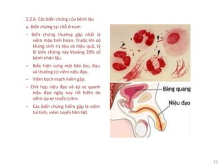 15
2.2.6. Các biến chứng của bệnh lậu
a. Biến chứng tại chỗ ở nam
‒ Biến chứng thường gặp nhất là
viêm mào tinh hoàn. Trước khi có
kháng sinh trị liệu có hiệu quả, tỷ
lệ biến chứng này khoảng 20% số
bệnh nhân lậu.
‒ Biểu hiện sưng một bên bìu, đau
và thường có viêm niệu đạo.
‒ Viêm bạch mạch hiếm gặp.
‒ Chít hẹp niệu đạo và áp xe quanh
niệu đạo ngày nay rất hiếm do
viêm-áp xe tuyến Littre.
‒ Các biến chứng hiếm gặp là viêm
túi tinh, viêm tuyến tiền liệt.
 