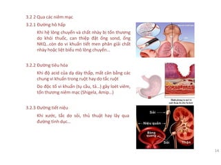 14
3.2 2 Qua các niêm mạc
3.2.1 Đường hô hấp
Khi hệ lông chuyển và chất nhày bị tổn thương
do khói thuốc, can thiệp đặt ống sond, ống
NKQ…còn do vi khuẩn tiết men phân giải chất
nhày hoặc liệt biểu mô lông chuyển…
3.2.2 Đường tiêu hóa
Khi độ acid của dạ dày thấp, mất cân bằng các
chung vi khuẩn trong ruột hay do tắc ruột
Do độc tố vi khuẩn (tụ cầu, tả…) gây loét viêm,
tổn thương niêm mạc (Shigela, Amip…)
3.2.3 Đường tiết niệu
Khi xước, tắc do sỏi, thủ thuật hay lây qua
đường tình dục…
 