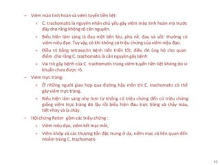 46
‒ Viêm mào tinh hoàn và viêm tuyến tiền liệt:
+ C. trachomatis là nguyên nhân chủ yếu gây viêm mào tinh hoàn mà trước
đây cho rằng không rõ căn nguyên.
+ Biểu hiện lâm sàng là đau một bên bìu, phù nề, đau và sốt- thường có
viêm niệu đạo. Tuy vậy, có khi không có triệu chứng của viêm niệu đạo.
+ Điều trị bằng tetraxyclin bệnh tiến triển tốt, điều đó ủng hộ cho quan
điểm cho rằng C. trachomatis là căn nguyên gây bệnh.
+ Vai trò gây bệnh của C. trachomatis trong viêm tuyến tiền liệt không do vi
khuẩn chưa được rõ.
‒ Viêm trực tràng:
+ Ở những người giao hợp qua đường hậu môn thì C. trachomatis có thể
gây viêm trực tràng.
+ Biểu hiện lâm sàng nhẹ hơn từ không có triệu chứng đến có triệu chứng
giống viêm trực tràng do lậu rồi biểu hiện đau trực tràng và chảy máu,
tiết nhày và ỉa chảy.
‒ Hội chứng Reiter gồm các triệu chứng :
+ Viêm niệu đạo, viêm kết mạc mắt,
+ Viêm khớp và các thương tổn đặc trưng ở da, niêm mạc có liên quan đến
nhiễm trùng C. trachomatis
 