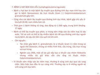 55
7. BỆNH U HẠT BẸN HOA LIỄU (Lymphogranuloma inguinale)
‒ Bệnh u hạt bẹn là một bệnh lây truyền qua đường tình dục mạn tính hay còn
gọi là bệnh Donovanosis do trực khuẩn Gram (-) Calymmmatobacterium
granulomatis gây nên.
‒ Cũng như các bệnh lây truyền qua đường tình dục khác, bệnh gặp chủ yếu ở
lứa tuổi 20-40, nam nhiều hơn nữ.
‒ Thời gian ủ bệnh không rõ ràng, dao động từ 1-360 ngày, trung bình khoảng
17 ngày.
‒ Bệnh có thể lây truyền qua phân, vi trùng xâm nhập vào da niêm mạc bị xây
xước. Trẻ sơ sinh có thể bị lây nhiễm bệnh khi đẻ qua đường sinh dục người
mẹ bị bệnh, do vậy cần tắm rửa sạch trẻ khi sinh.
‒ Căn nguyên:
+ Tác nhân gây bệnh C. granulomatis là vi khuẩn Gram (-) nằm trong và
ngoài thể Donovan, chúng có nhiều hình thái, cầu trùng, cầu trực trùng
và trực trùng.
+ Nghiên cứu DNA, một số tác giả xếp loại vi khuẩn vào nhóm Klebsiella
nhưng nhiều tác giả khác vẫn cho rằng nó thuộc nhóm
Calymmmatobacterium.
‒ Vi khuẩn xâm nhập vào da niêm mạc, thường ở vùng sinh dục qua các sang
chấn. Biểu hiện ban đầu là cục cứng nhỏ. Thường xảy ra ở những người vệ
sinh vùng sinh dục kém.
 