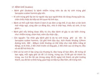 67
17. BỆNH GHẺ (Scabies)
‒ Bệnh ghẻ (Scabies) là bệnh nhiễm trùng trên da do ký sinh trùng ghẻ
Sarcoptes scabiei hominis gây nên.
‒ Kí sinh trùng ghẻ lây lan từ người này qua người khác do dùng chung quần áo,
chăn chiếu hoặc do tiếp xúc khi quan hệ tình dục.
‒ Bệnh có thể xuất hiện thành ổ dịch ở các đơn vị tập thể, ở các đơn vị tân binh
mới nhập ngũ, vùng dân cư đông đúc, nhà ở chật hẹp, thiếu vệ sinh, ở trại
giam....
‒ Bệnh ghẻ nếu không được điều trị chu đáo bệnh sẽ gây ra các biến chứng
như: nhiễm trùng, chàm hoá, viêm cầu thận cấp...
‒ Căn nguyên: Tác nhân gây bệnh ghẻ là do ký sinh trùng ghẻ có tên là
Sarcoptes scabiei hominis. Cái ghẻ hình bầu dục, kích thước khoảng 1/4mm
đường kính, 300 - 400µm (mắt thường có thể thấy như một điểm trắng di
động), có 8 chân, 2 đôi chân trước có ống giác, 2 đôi chân sau có lông tơ, đầu
có vòi để hút thức ăn.
‒ Ghẻ cái ký sinh ở lớp sừng của thượng bì, đào hang về ban đêm, đẻ trứng về
ban ngày, mỗi ngày ghẻ cái đẻ 1-5 trứng, trứng sau 72-96 giờ nở thành ấu
trùng, sau 5-6 lần lột xác (trong vòng 20-25 ngày) trở thành cái ghẻ trưởng
thành, sau đó bò ra khỏi hang, giao hợp và tiếp tục đào hầm, đẻ trứng mới.
 