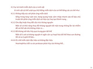 18
4.3 Sự né tránh miễn dịch của vi sinh vật
Vi sinh vật có thể vượt qua hệ thống miễn dịch của cơ thể bằng các cơ chế như:
4.3.1 Không tiếp xúc với phản ứng miễn dịch
Sống trong long ruột non, bang quang hoặc xâm nhập nhanh vào tế bào chủ
trước khi phản ứng miễn dịch có hiệu lực hay tạo thành nang…
4.3.2 Che đậy hoặc thay đổi cấu trúc kháng nguyên
Một số có khả năng thay đổi kháng nguyên bề mặt trong những lần tái nhiễm
để cơ thể vật chủ không nhận ra …
4.3.3 Đề kháng với tiêu hủy qua trung gian bổ thể
Một số E.coli có kháng nguyên K ngăn cản sự hoạt hóa bổ thể theo con đường
tắt và sự ly giải tế bào…
4.4.4 Ức chế miễn dịch đặc hiệu và không đặc hiệu
Heamophilus tiết ra các protease phân hủy các kháng thể…
 