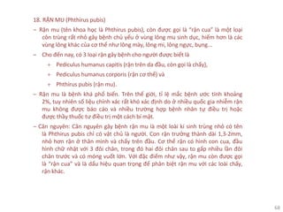 68
18. RẬN MU (Phthirus pubis)
‒ Rận mu (tên khoa học là Phthirus pubis), còn được gọi là “rận cua” là một loại
côn trùng rất nhỏ gây bệnh chủ yếu ở vùng lông mu sinh dục, hiếm hơn là các
vùng lông khác của cơ thể như lông mày, lông mi, lông ngực, bụng...
‒ Cho đến nay, có 3 loại rận gây bệnh cho người được biết là
+ Pediculus humanus capitis (rận trên da đầu, còn gọi là chấy),
+ Pediculus humanus corporis (rận cơ thể) và
+ Phthirus pubis (rận mu).
‒ Rận mu là bệnh khá phổ biến. Trên thế giới, tỉ lệ mắc bệnh ước tính khoảng
2%, tuy nhiên số liệu chính xác rất khó xác định do ở nhiều quốc gia nhiễm rận
mu không được báo cáo và nhiều trường hợp bệnh nhân tự điều trị hoặc
được thầy thuốc tư điều trị một cách bí mật.
‒ Căn nguyên: Căn nguyên gây bệnh rận mu là một loài kí sinh trùng nhỏ có tên
là Phthirus pubis chỉ có vật chủ là người. Con rận trưởng thành dài 1,3-2mm,
nhỏ hơn rận ở thân mình và chấy trên đầu. Cơ thể rận có hình con cua, đầu
hình chữ nhật với 3 đôi chân, trong đó hai đôi chân sau to gấp nhiều lần đôi
chân trước và có móng vuốt lớn. Với đặc điểm như vậy, rận mu còn được gọi
là “rận cua” và là dấu hiệu quan trọng để phân biệt rận mu với các loài chấy,
rận khác.
 