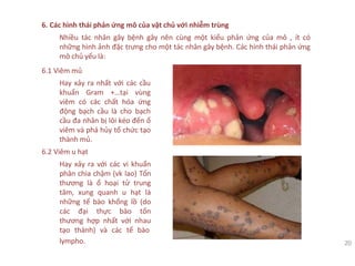 6. Các hình thái phản ứng mô của vật chủ với nhiễm trùng
Nhiều tác nhân gây bệnh gây nên cùng một kiểu phản ứng của mô , ít có
những hình ảnh đặc trưng cho một tác nhân gây bệnh. Các hình thái phản ứng
mô chủ yếu là:
6.1 Viêm mủ
Hay xảy ra nhất với các cầu
khuẩn Gram +…tại vùng
viêm có các chất hóa ứng
động bạch cầu là cho bạch
cầu đa nhân bị lôi kéo đến ổ
viêm và phá hủy tổ chức tạo
thành mủ.
6.2 Viêm u hạt
Hay xảy ra với các vi khuẩn
phân chia chậm (vk lao) Tổn
thương là ổ hoại tử trung
tâm, xung quanh u hạt là
những tế bào khổng lồ (do
các đại thực bào tổn
thương hợp nhất với nhau
tạo thành) và các tế bào
lympho. 20
 