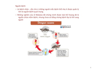 4
Nguồn bệnh
‒ Là bệnh nhân - cần chú ý những người mắc bệnh thể nhẹ ít được quản lý
nên là nguồn bệnh quan trọng.
‒ Những nghiên cứu ở Malaixia đã chứng minh được loài khỉ hoang dã là
nguồn chứa mầm bệnh, nhưng chưa có bằng chứng bệnh lây từ khỉ sang
người
 