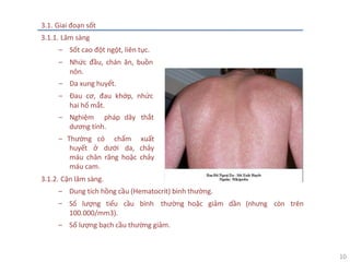 10
3.1. Giai đoạn sốt
3.1.1. Lâm sàng
‒ Sốt cao đột ngột, liên tục.
‒ Nhức đầu, chán ăn, buồn
nôn.
‒ Da xung huyết.
‒ Đau cơ, đau khớp, nhức
hai hố mắt.
‒ Nghiệm pháp dây thắt
dương tính.
‒ Thường có chấm xuất
huyết ở dưới da, chảy
máu chân răng hoặc chảy
máu cam.
3.1.2. Cận lâm sàng.
‒ Dung tích hồng cầu (Hematocrit) bình thường.
‒ Số lượng tiểu cầu bình thường hoặc giảm
100.000/mm3).
‒ Số lượng bạch cầu thường giảm.
dần (nhưng còn trên
 