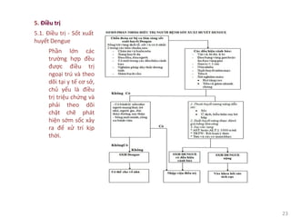 23
5. Điều trị
5.1. Điều trị - Sốt xuất
huyết Dengue
Phần lớn các
trường hợp đều
được điều trị
ngoại trú và theo
dõi tại y tế cơ sở,
chủ yếu là điều
trị triệu chứng và
phải theo dõi
chặt chẽ phát
hiện sớm sốc xảy
ra để xử trí kịp
thời.
 