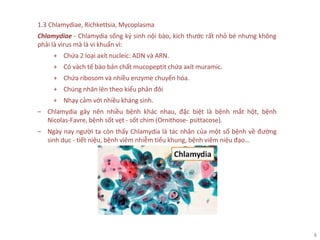4
1.3 Chlamydiae, Richkettsia, Mycoplasma
Chlamydiae - Chlamydia sống ký sinh nội bào, kích thước rất nhỏ bé nhưng không
phải là virus mà là vi khuẩn vì:
+ Chứa 2 loại axít nucleic: ADN và ARN.
+ Có vách tế bào bản chất mucopeptit chứa axít muramic.
+ Chứa ribosom và nhiều enzyme chuyển hóa.
+ Chúng nhân lên theo kiểu phân đôi
+ Nhạy cảm với nhiều kháng sinh.
‒ Chlamydia gây nên nhiều bệnh khác nhau, đặc biệt là bệnh mắt hột, bệnh
Nicolas-Favre, bệnh sốt vẹt - sốt chim (Ornithose- psittacose).
‒ Ngày nay người ta còn thấy Chlamydia là tác nhân của một số bệnh về đường
sinh dục - tiết niệu, bệnh viêm nhiễm tiểu khung, bệnh viêm niệu đạo…
 