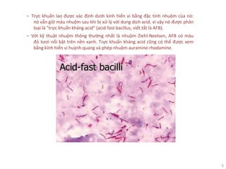 5
‒ Trực khuẩn lao được xác định dưới kính hiển vi bằng đặc tính nhuộm của nó:
nó vẫn giữ màu nhuộm sau khi bị xử lý với dung dịch acid, vì vậy nó được phân
loại là "trực khuẩn kháng acid" (acid-fast bacillus, viết tắt là AFB).
‒ Với kỹ thuật nhuộm thông thường nhất là nhuộm Ziehl-Neelsen, AFB có màu
đỏ tươi nổi bật trên nền xanh. Trực khuẩn kháng acid cũng có thể được xem
bằng kính hiển vi huỳnh quang và phép nhuộm auramine-rhodamine.
 