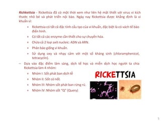 5
Richkettsia - Rickettsia đã có một thời xem như liên hệ mật thiết với virus vì kích
thước nhỏ bé và phát triển nội bào. Ngày nay Rickettsia được khẳng định là vi
khuẩn vì:
+ Rickettsia có tất cả đặc tính cấu tạo của vi khuẩn, đặc biệt là có vách tế bào
điển hình.
+ Có tất cả các enzyme cần thiết cho sự chuyển hóa.
+ Chứa cả 2 loại axít nucleic: ADN và ARN.
+ Phân bào giống vi khuẩn.
+ Sử dụng oxy và nhạy cảm với một số kháng sinh (chloramphenicol,
tetracyclin).
‒ Dựa vào đặc điểm lâm sàng, dịch tể học và miễn dịch học người ta chia
Rickettsia làm 4 nhóm:
+ Nhóm I: Sốt phát ban dịch tễ
+ Nhóm II: Sốt có nốt.
+ Nhóm III: Nhóm sốt phát ban rừng rú.
+ Nhóm IV: Nhóm sốt “Q” (Query)
 