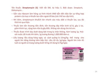 24
Tên thuốc: Streptomycin (S): Viết tắt SM, ký hiệu S. Biệt dược: Streptorit,
Didromycin...
‒ Gắn vào ribosom làm hỏng sự hình thành AND dẫn đến đảo lộn sự tổng hợp
protein của loại vi khuẩn lao nằm ngoài tế bào (tức thể lao cấp tính).
‒ Khi tiêm, streptomycin khuếch tán nhanh vào máu diệt vi khuẩn lao, sau đó
thải trừ qua thận.
‒ Thuốc làm tổn thương tiền đình, tổn thương dây thần kinh số 8, gây ù tai,
giảm thính lực, nặng hơn nữa là gây điếc. Không nên dùng cho trẻ em.
‒ Thuốc được trình bày dưới dạng bột trong lọ chân không, hàm lượng 1g. Hoà
với nước cất trước khi tiêm; 1g tương đương 1.000.000 đơn vị.
‒ Liều lượng: liều dùng hàng ngày và cách quãng là 15mg/kg thể trọng cho
người lớn bằng đường tiêm bắp thịt. Liều tối đa 1g/ngày. Người lớn trên 45
tuổi và người có trọng lượng dưới 50 kg chỉ dùng 0,75g/ngày
 