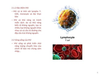 6
2.1.2 Đặc điểm HIV
‒ HIV có ái tính với lympho T-
CD4, monocyte và đại thực
bào
‒ HIV có khả năng né tránh
miễn dịch: do có khả năng
biến dị kháng nguyên, tạo ra
nhiều loại kháng nguyên khác
nhau và có cấu tử đường che
đậy cấu trúc kháng nguyên.
2.2 Vòng sống của HIV
‒ HIV sống và phát triển nhờ
năng lượng chuyển hóa của
chính tế bào mà chúng xâm
nhập…
 