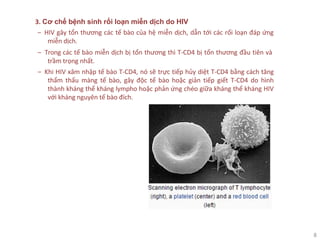 8
3. Cơ chế bệnh sinh rối loạn miễn dịch do HIV
‒ HIV gây tổn thương các tế bào của hệ miễn dịch, dẫn tới các rối loạn đáp ứng
miễn dịch.
‒ Trong các tế bào miễn dịch bị tổn thương thì T-CD4 bị tổn thương đầu tiên và
trầm trọng nhất.
‒ Khi HIV xâm nhập tế bào T-CD4, nó sẽ trực tiếp hủy diệt T-CD4 bằng cách tăng
thẩm thấu màng tế bào, gây độc tế bào hoặc giản tiếp giết T-CD4 do hình
thành kháng thể kháng lympho hoặc phản ứng chéo giữa kháng thể kháng HIV
với kháng nguyên tế bào đích.
 
