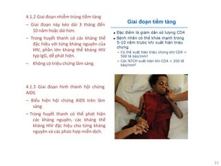 11
4.1.2 Giai đoạn nhiễm trùng tiềm tàng
‒ Giai đoạn này kéo dài 3 tháng đến
10 năm hoặc dài hơn.
‒ Trong huyết thanh có các kháng thể
đặc hiệu với từng kháng nguyên của
HIV, phần lớn kháng thể kháng HIV
typ IgG, dễ phát hiện.
‒ Không có triệu chứng lâm sàng.
4.1.3 Giai đoạn hình thành hội chứng
AIDS
‒ Biểu hiện hội chứng AIDS trên lâm
sàng
‒ Trong huyết thanh có thể phát hiện
các kháng nguyên, các kháng thể
kháng HIV đặc hiệu cho từng kháng
nguyên và các phức hợp miễn dịch.
 
