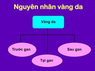 Nguyên nhân vàng da
Vàng da
Trước gan Sau gan
Tại gan
 