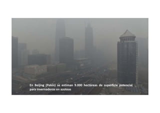 En Beijing (Pekin) se estiman 9.000 hectáreas de superficie potencial
para invernaderos en azoteas
 