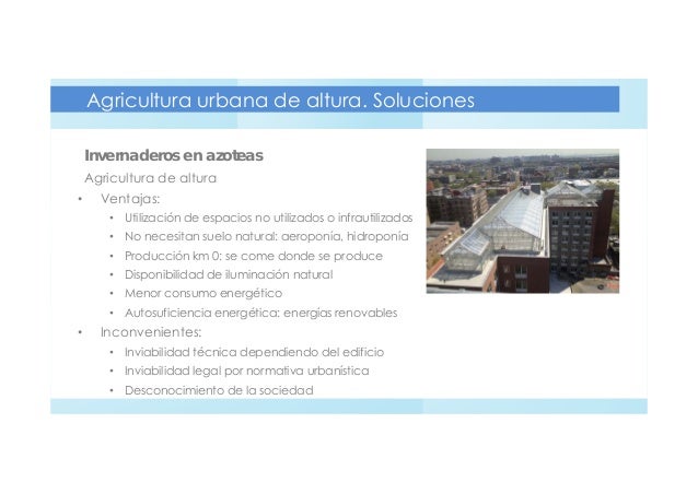 España Hidroponia España Hidroponia