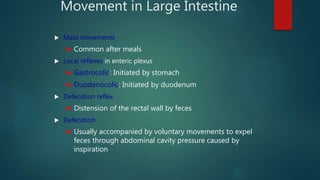 large intestine physiology | PPTX