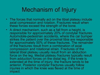 Mechanism of Injury
• The forces that normally act on the tibial plateau include
axial compression and rotation. Fractures result when
these forces exceed the strength of the bone.
• A direct mechanism, such as a fall from a height, is
responsible for approximately 20% of condylar fractures.
Automobile-pedestrian accidents, where the car bumper
strikes the patient over the proximal tibia are responsible
for approximately 50% of these fractures. The remainder
of the fractures result from a combination of axial
compression and rotational strain. Fractures of the
lateral tibial plateau usually result from an abduction
force on the leg. Medial plateau fractures typically result
from adduction forces on the distal leg. If the knee is
extended at the time of injury, the fracture tends to be
anterior. Posterior condylar fractures usually follow
injuries in which the knee was flexed at the time of
impact.
 