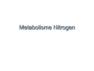 Metabolisme NitrogenMetabolisme Nitrogen
 