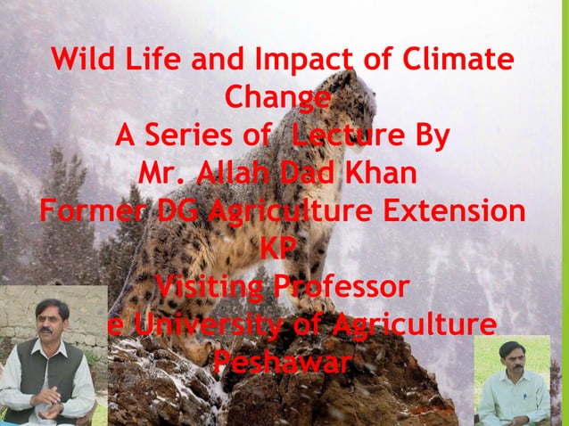8.wild life and impacts of climate change on wildlife | PPT