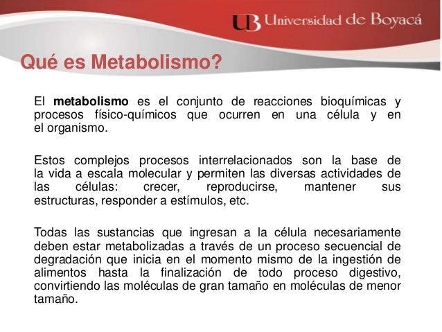 La mejor solución para Programas de pérdida de peso