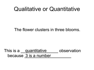 CP Chemistry types of observations | PPT
