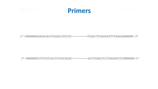 5'-NNNNNNAGAGACAGTGGGACCGTCTG---------TGGACTTGAGGATTCTAGAGNNNNNN-3'
3'-NNNNNNTCTCTGTCACCCTGGCAGAC---------ACCTGAACTCCTAAGATCTCNNNNNN-5'
Primers
 