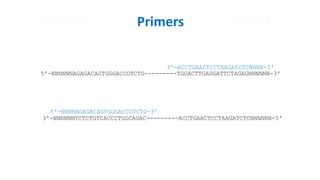5'-NNNNNNAGAGACAGTGGGACCGTCTG---------TGGACTTGAGGATTCTAGAGNNNNNN-3'
3'-NNNNNNTCTCTGTCACCCTGGCAGAC---------ACCTGAACTCCTAAGATCTCNNNNNN-5'
Primers
5'-NNNNAGAGACAGTGGGACCGTCTG-3'
3'-ACCTGAACTCCTAAGATCTCNNNN-5'
 