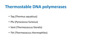 Thermostable DNA polymerases
• Taq (Thermus aquaticus)
• Pfu (Pyrococcus furiosus)
• Vent (Thermococcus litoralis)
• Tth (Thermococcus thermophiles)
 