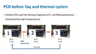 PCR before Taq and thermal cyclers
• Initially PCR used the Klenow fragment of E. coli DNA polymerase -
inactivated by high temperatures
95º C
5 min
35 times
55º C
3 min
72º C
5 minDNA
polymerase
1 22 3
 