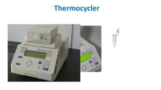 Thermocycler
 