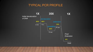 TYPICAL PCR PROFILE
annealing
95ºC 95ºC
60ºC
72ºC
4ºC
3 min 10 s
15 sec
30 sec
Hold
Initial denaturation
of DNA
1X 35X 1X
extension
Final
Extension
denaturation
 
