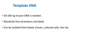 Template DNA
• 50-100 ng of pure DNA is needed.
• Should be free of proteins and lipids.
• Can be isolated from blood, tissues, cultured cells, hair etc.
 