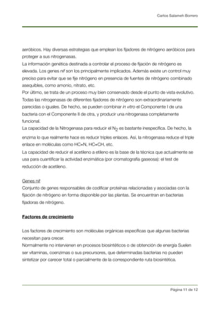 Carlos Salameh Borrero
aeróbicos. Hay diversas estrategias que emplean los ﬁjadores de nitrógeno aeróbicos para
proteger a sus nitrogenasas.
La información genética destinada a controlar el proceso de ﬁjación de nitrógeno es
elevada. Los genes nif son los principalmente implicados. Además existe un control muy
preciso para evitar que se ﬁje nitrógeno en presencia de fuentes de nitrógeno combinado
asequibles, como amonio, nitrato, etc.
Por último, se trata de un proceso muy bien conservado desde el punto de vista evolutivo.
Todas las nitrogenasas de diferentes ﬁjadores de nitrógeno son extraordinariamente
parecidas o iguales. De hecho, se pueden combinar in vitro el Componente I de una
bacteria con el Componente II de otra, y producir una nitrogenasa completamente
funcional.
La capacidad de la Nitrogenasa para reducir el N2 es bastante inespecíﬁca. De hecho, la
enzima lo que realmente hace es reducir triples enlaces. Así, la nitrogenasa reduce el triple
enlace en moléculas como HC≡N, HC≡CH, etc. 
La capacidad de reducir el acetileno a etileno es la base de la técnica que actualmente se
usa para cuantiﬁcar la actividad enzimática (por cromatografía gaseosa): el test de
reducción de acetileno.
Genes nif
Conjunto de genes responsables de codiﬁcar proteínas relacionadas y asociadas con la
ﬁjación de nitrógeno en forma disponible por las plantas. Se encuentran en bacterias
ﬁjadoras de nitrógeno.
Factores de crecimiento
Los factores de crecimiento son moléculas orgánicas especíﬁcas que algunas bacterias
necesitan para crecer. 
Normalmente no intervienen en procesos biosintéticos o de obtención de energía Suelen
ser vitaminas, coenzimas o sus precursores, que determinadas bacterias no pueden
sintetizar por carecer total o parcialmente de la correspondiente ruta biosintética.
Página ! de !11 12
 