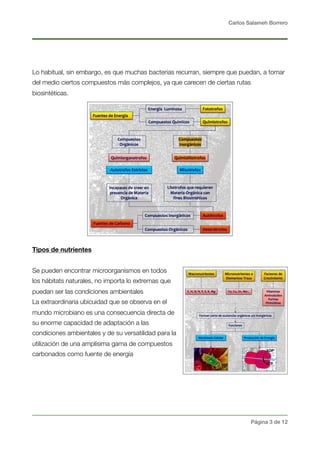 Carlos Salameh Borrero
Lo habitual, sin embargo, es que muchas bacterias recurran, siempre que puedan, a tomar
del medio ciertos compuestos más complejos, ya que carecen de ciertas rutas
biosintéticas.
Tipos de nutrientes
Se pueden encontrar microorganismos en todos
los hábitats naturales, no importa lo extremas que
puedan ser las condiciones ambientales
La extraordinaria ubicuidad que se observa en el
mundo microbiano es una consecuencia directa de
su enorme capacidad de adaptación a las
condiciones ambientales y de su versatilidad para la
utilización de una amplísima gama de compuestos
carbonados como fuente de energía
Página ! de !3 12
 