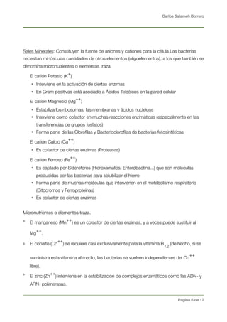 Carlos Salameh Borrero
Sales Minerales: Constituyen la fuente de aniones y cationes para la célula.Las bacterias
necesitan minúsculas cantidades de otros elementos (oligoelementos), a los que también se
denomina micronutrientes o elementos traza.
El catión Potasio (K
+
)
• Interviene en la activación de ciertas enzimas
• En Gram positivas está asociado a Ácidos Teicóicos en la pared celular
El catión Magnesio (Mg
++
)
• Estabiliza los ribosomas, las membranas y ácidos nucleicos
• Interviene como cofactor en muchas reacciones enzimáticas (especialmente en las
transferencias de grupos fosfatos)
• Forma parte de las Cloroﬁlas y Bacteriocloroﬁlas de bacterias fotosintéticas
El catión Calcio (Ca
++
)
• Es cofactor de ciertas enzimas (Proteasas)
El catión Ferroso (Fe
++
)
• Es captado por Sideróforos (Hidroxamatos, Enterobactina...) que son moléculas
producidas por las bacterias para solubilizar el hierro
• Forma parte de muchas moléculas que intervienen en el metabolismo respiratorio
(Citocromos y Ferroproteínas)
• Es cofactor de ciertas enzimas
Micronutrientes o elementos traza.
El manganeso (Mn
++
) es un cofactor de ciertas enzimas, y a veces puede sustituir al
Mg
++
.
El cobalto (Co
++
) se requiere casi exclusivamente para la vitamina B
12
(de hecho, si se
suministra esta vitamina al medio, las bacterias se vuelven independientes del Co
++
libre).
El zinc (Zn
++
) interviene en la estabilización de complejos enzimáticos como las ADN- y
ARN- polimerasas.
Página ! de !6 12
 