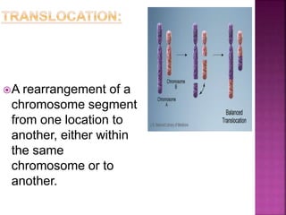 A rearrangement of a
chromosome segment
from one location to
another, either within
the same
chromosome or to
another.
 