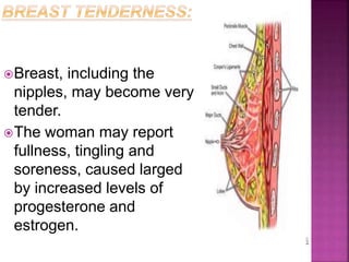 Breast, including the
nipples, may become very
tender.
The woman may report
fullness, tingling and
soreness, caused larged
by increased levels of
progesterone and
estrogen.
 
