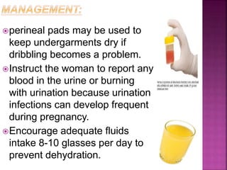 perineal pads may be used to
keep undergarments dry if
dribbling becomes a problem.
Instruct the woman to report any
blood in the urine or burning
with urination because urination
infections can develop frequent
during pregnancy.
Encourage adequate fluids
intake 8-10 glasses per day to
prevent dehydration.
 